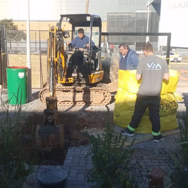 amaya-motors-proyecto-via-solution