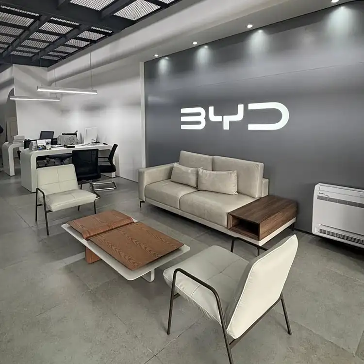 proyecto-byd-uruguay